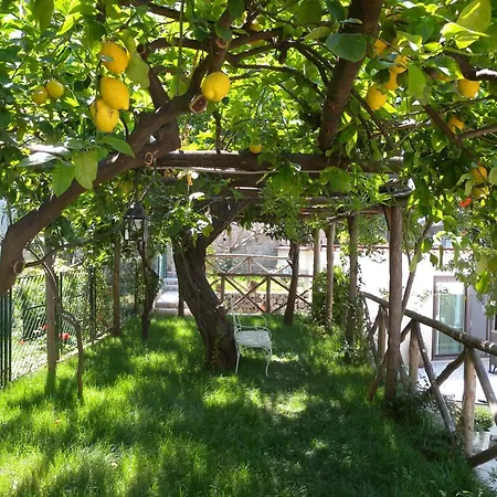 Rafael - A Romantic Gem In Amalfi Coast Villa *