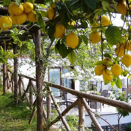 ヴィラ Rafael - A Romantic Gem In Amalfi Coast
