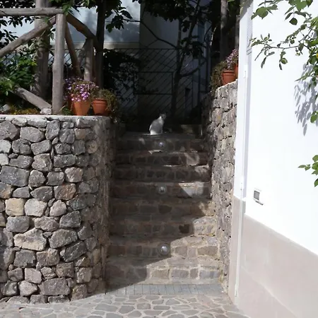 Rafael - A Romantic Gem In Amalfi Coast Maiori